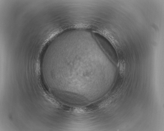 X0000116150684200912071304