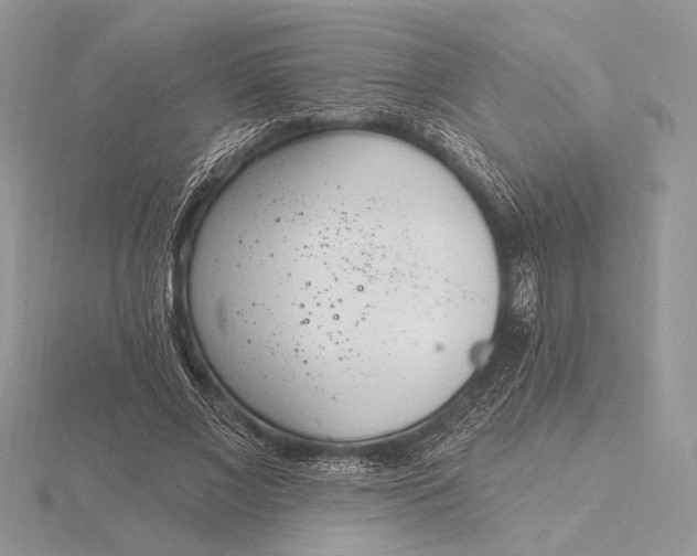 X0000116150685200912071304