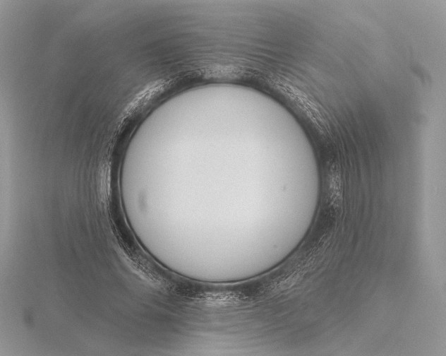 X0000116150686200912071304