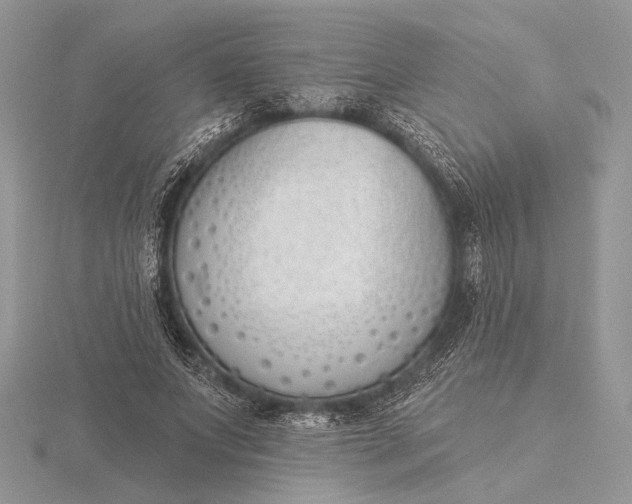 X0000116150687200912071304