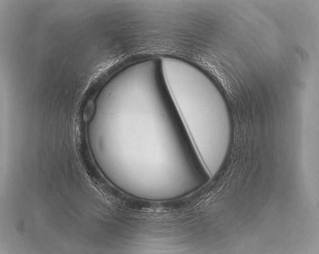 X0000116150688200912071304