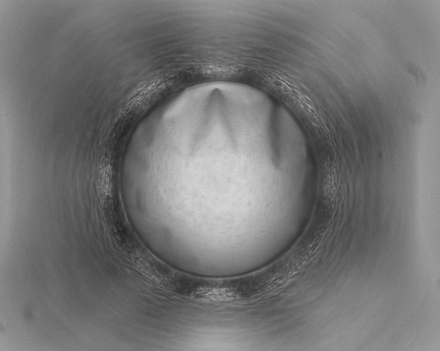 X0000116150689200912071304