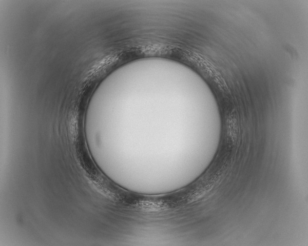 X0000116150690200912071304