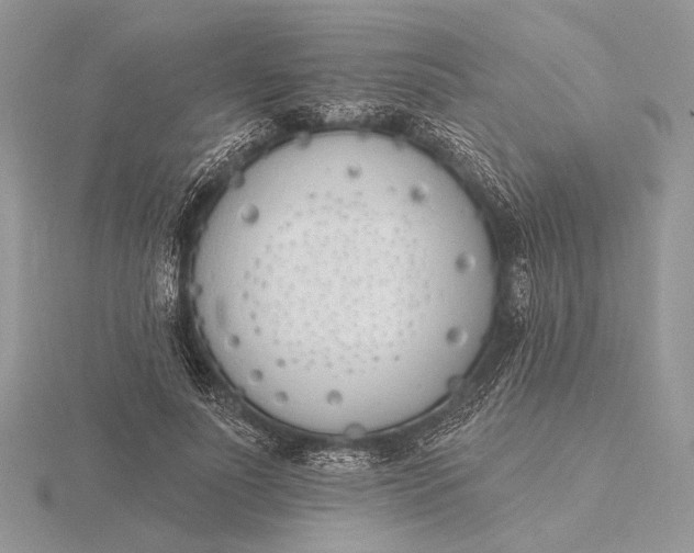 X0000116150691200912071304