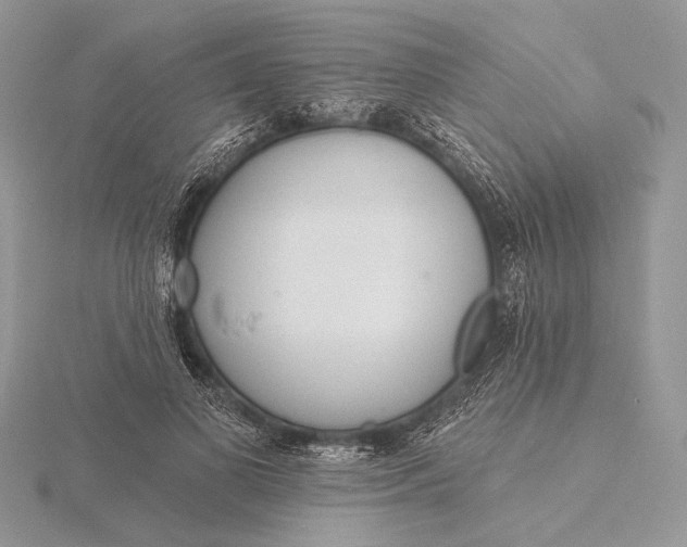 X0000116150693200912071304