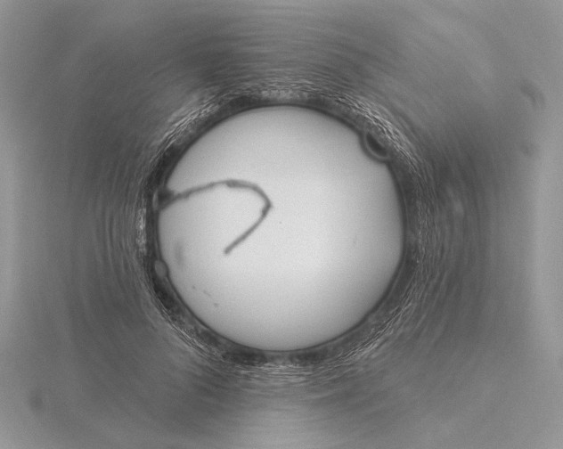 X0000116150696200912071304