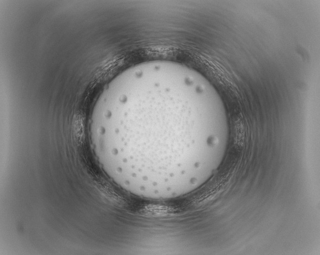 X0000116150699200912071304