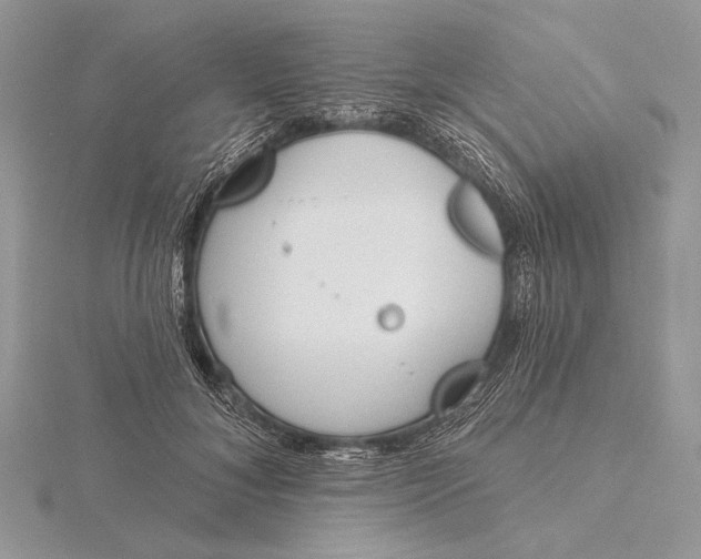 X0000116150700200912071304