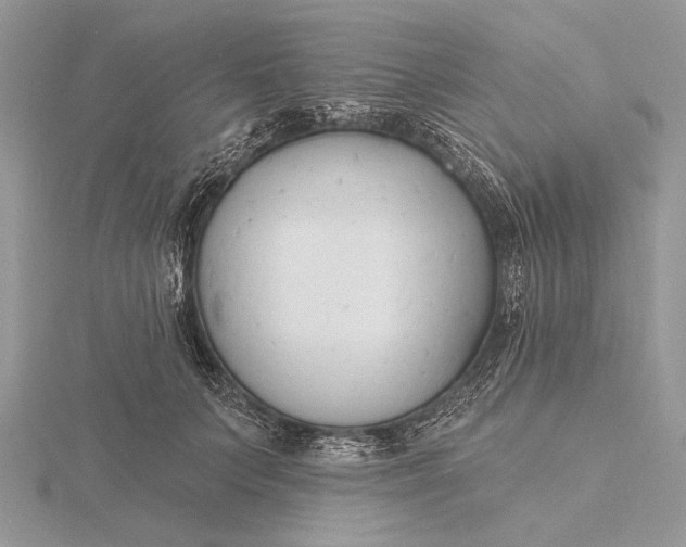 X0000116150703200912071304