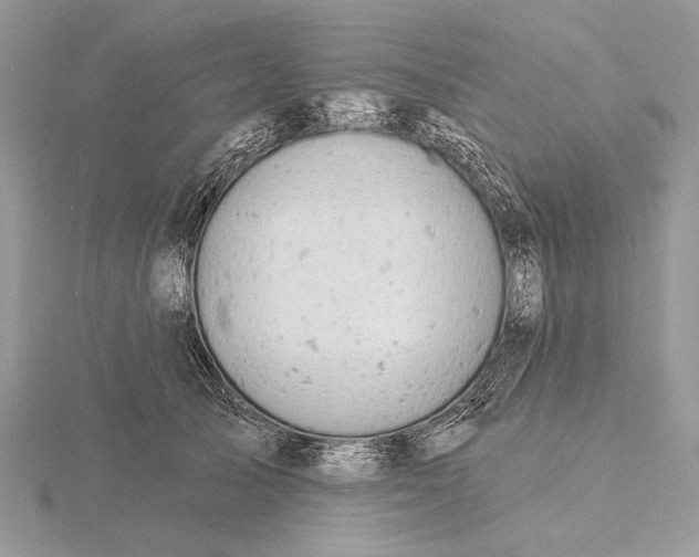 X0000116150705200912071304