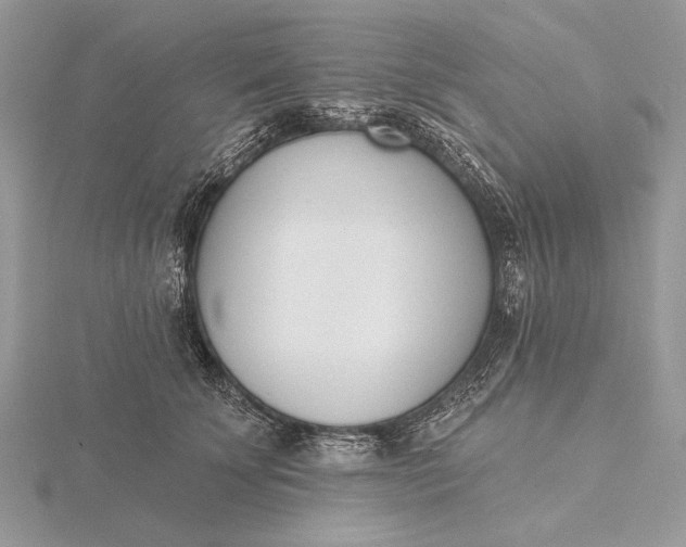 X0000116150707200912071304