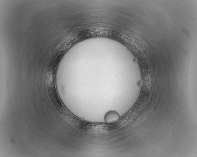 X0000116150709200912071304