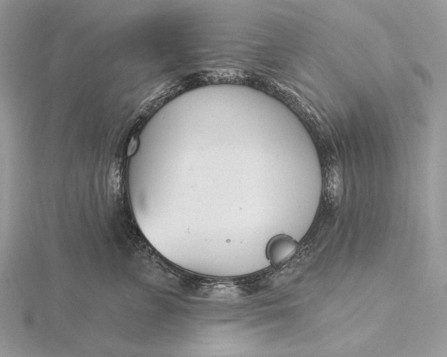 X0000116150715200912071304