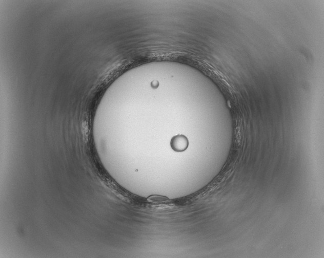 X0000116150716200912071304