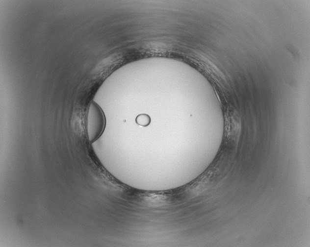 X0000116150718200912071304