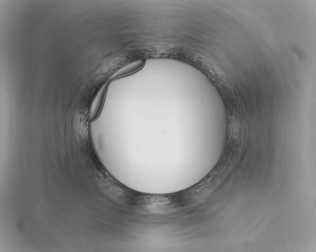 X0000116150719200912071304