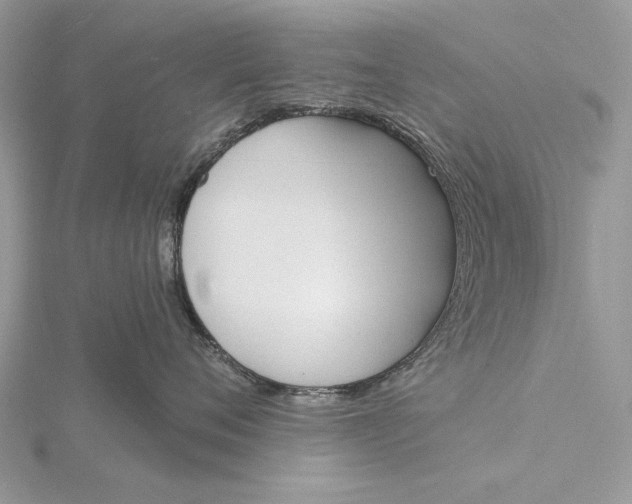 X0000116150720200912071304