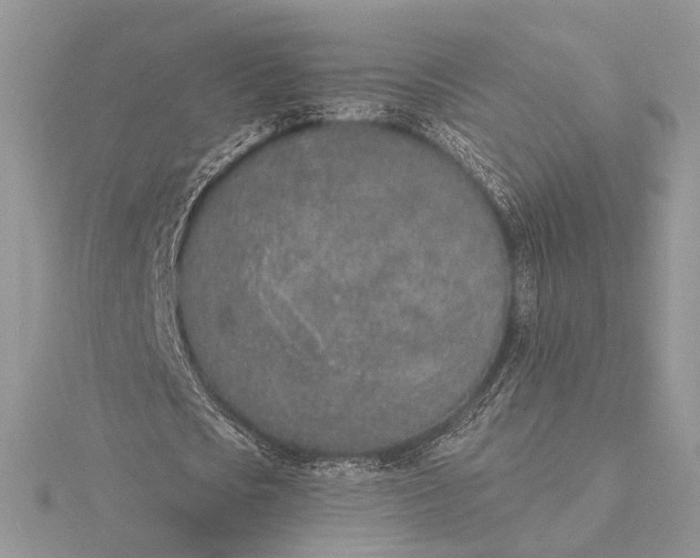 X0000116150721200912071303