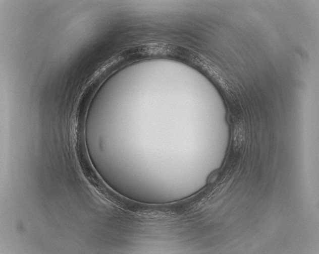 X0000116150722200912071303