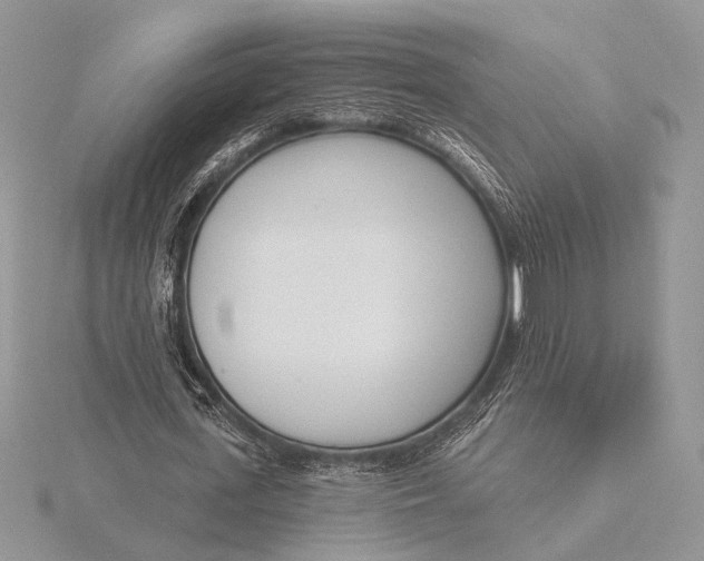 X0000116150723200912071303