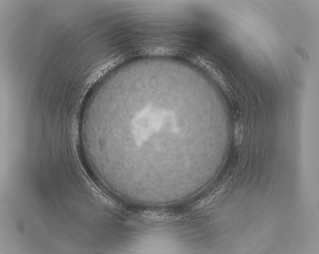 X0000116150725200912071303