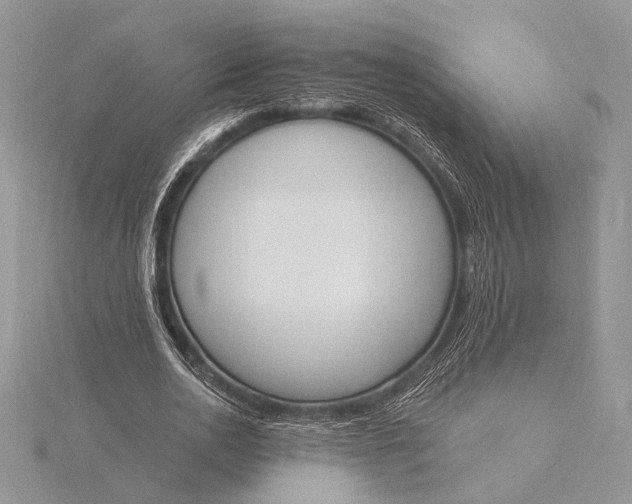 X0000116150726200912071303