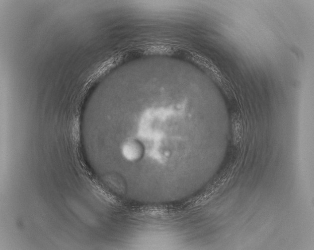 X0000116150729200912071303