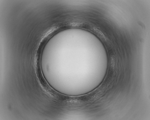 X0000116150730200912071303