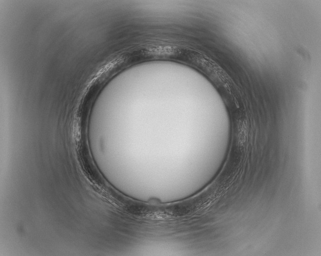 X0000116150731200912071303