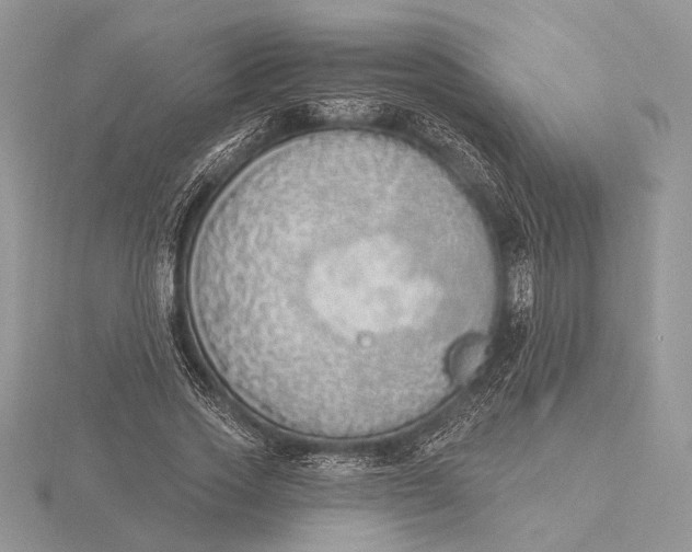 X0000116150733200912071303