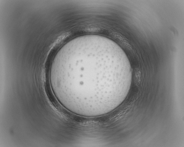 X0000116150734200912071303