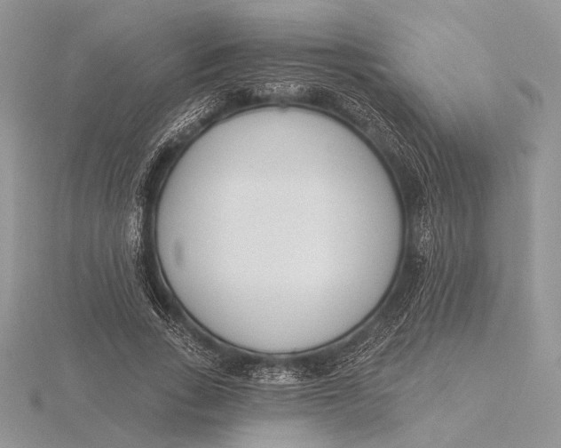 X0000116150735200912071303