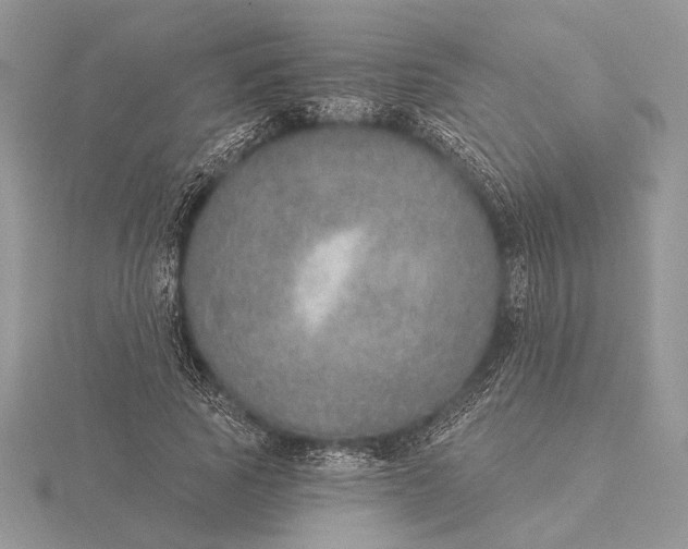 X0000116150737200912071303