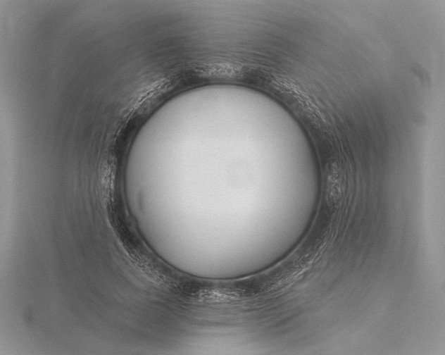 X0000116150739200912071303