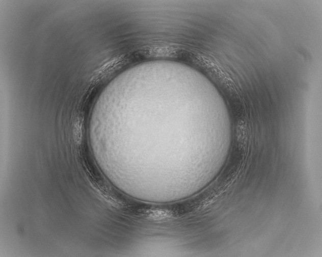 X0000116150741200912071303