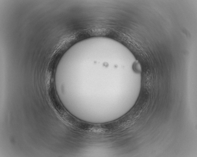 X0000116150742200912071303