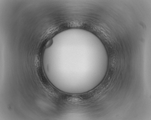 X0000116150743200912071303