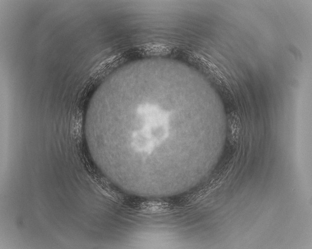 X0000116150745200912071303