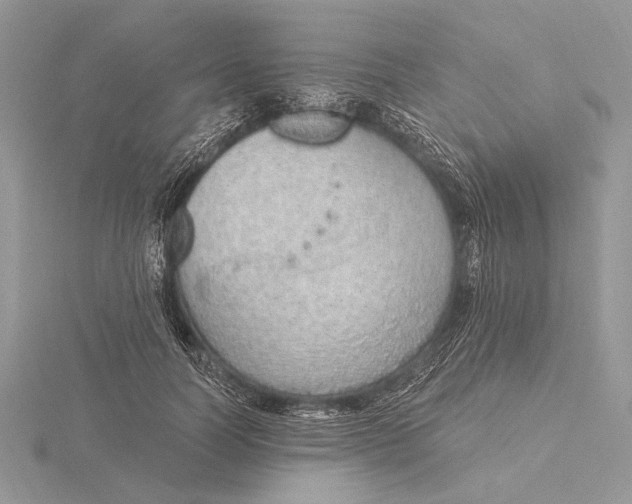 X0000116150746200912071303