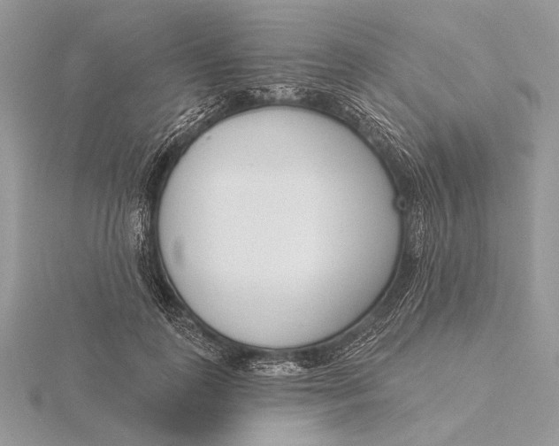 X0000116150747200912071303