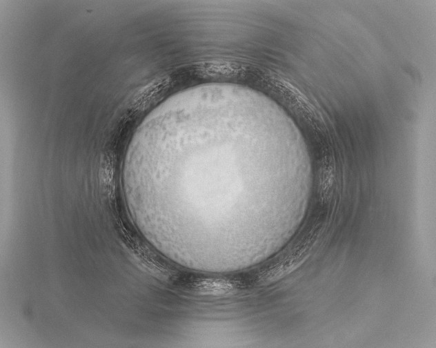 X0000116150749200912071303