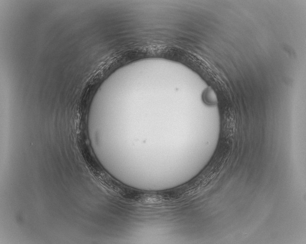 X0000116150750200912071303