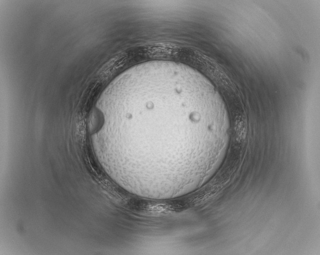 X0000116150753200912071303