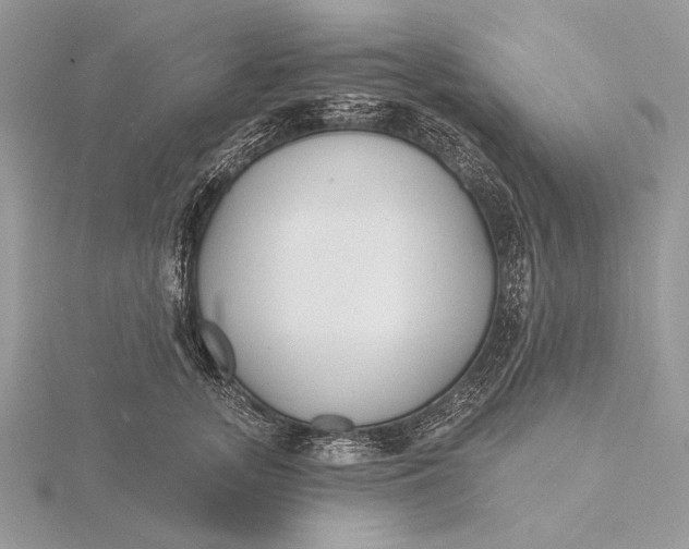 X0000116150755200912071303