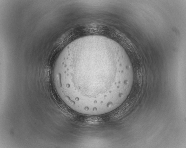 X0000116150757200912071303