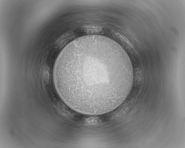 X0000116150761200912071303