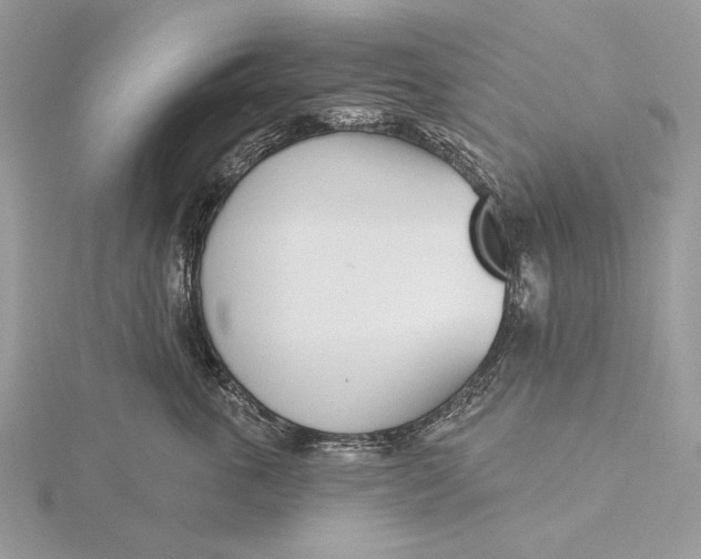 X0000116150763200912071303