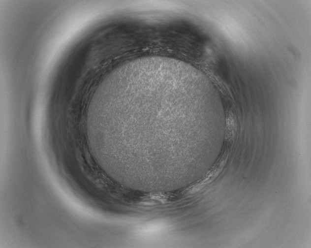 X0000116150765200912071303