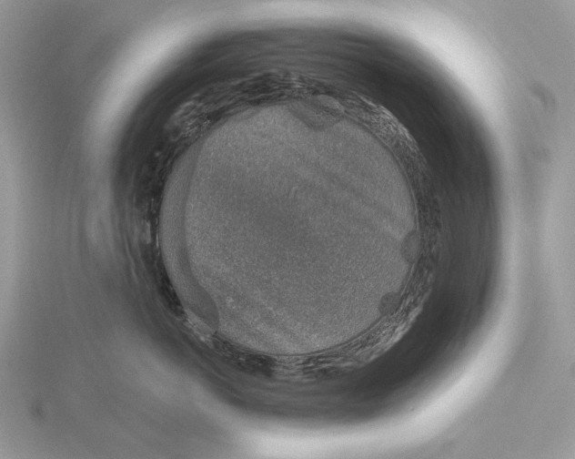 X0000116150766200912071303