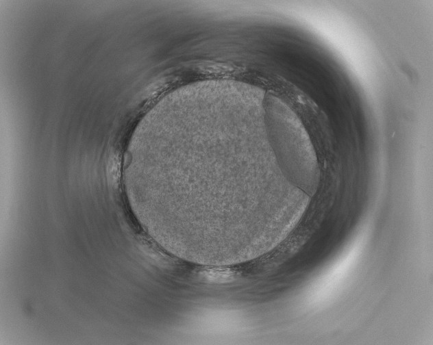 X0000116150767200912071304